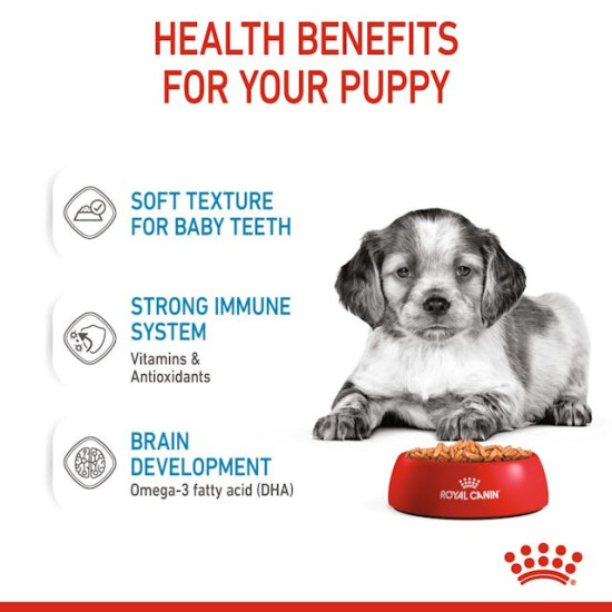 Royal Canin Medium Puppy – Hrană Umedă în Sos pentru Căței de Talie Medie – 140 g